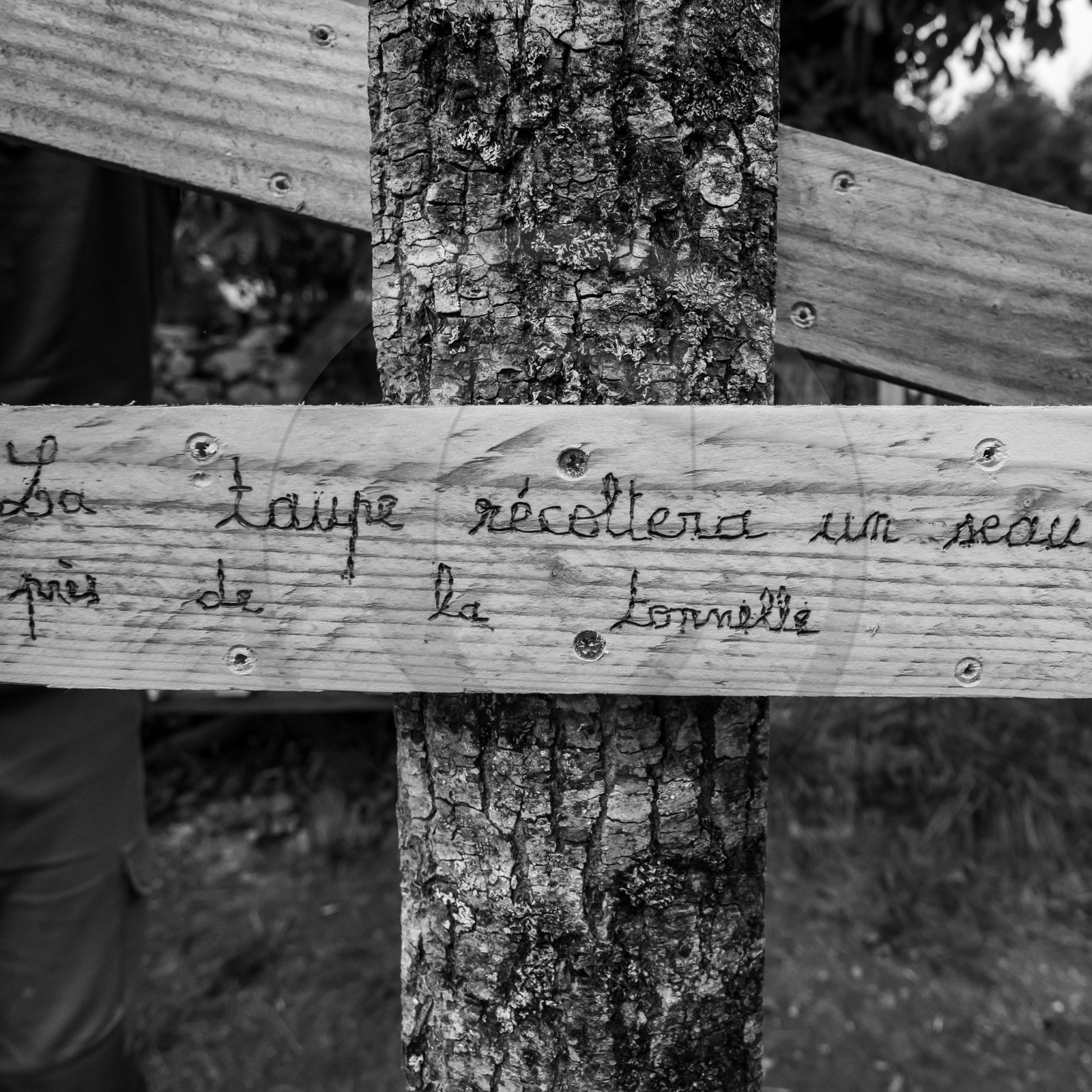 15 septembre 2021 : l'APF à l'Ouort