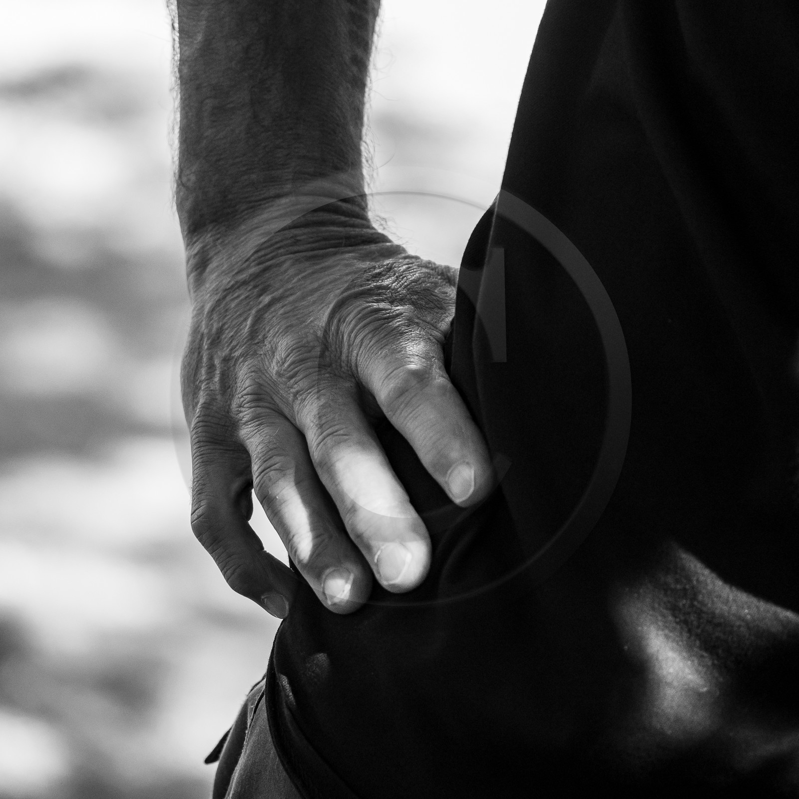 09 août 2023 : HydrOlique au jardin