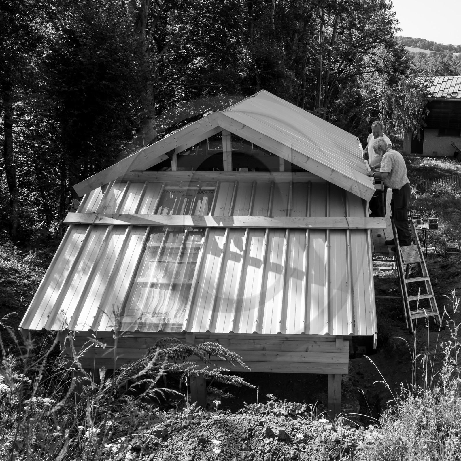 Construction d'une cabane