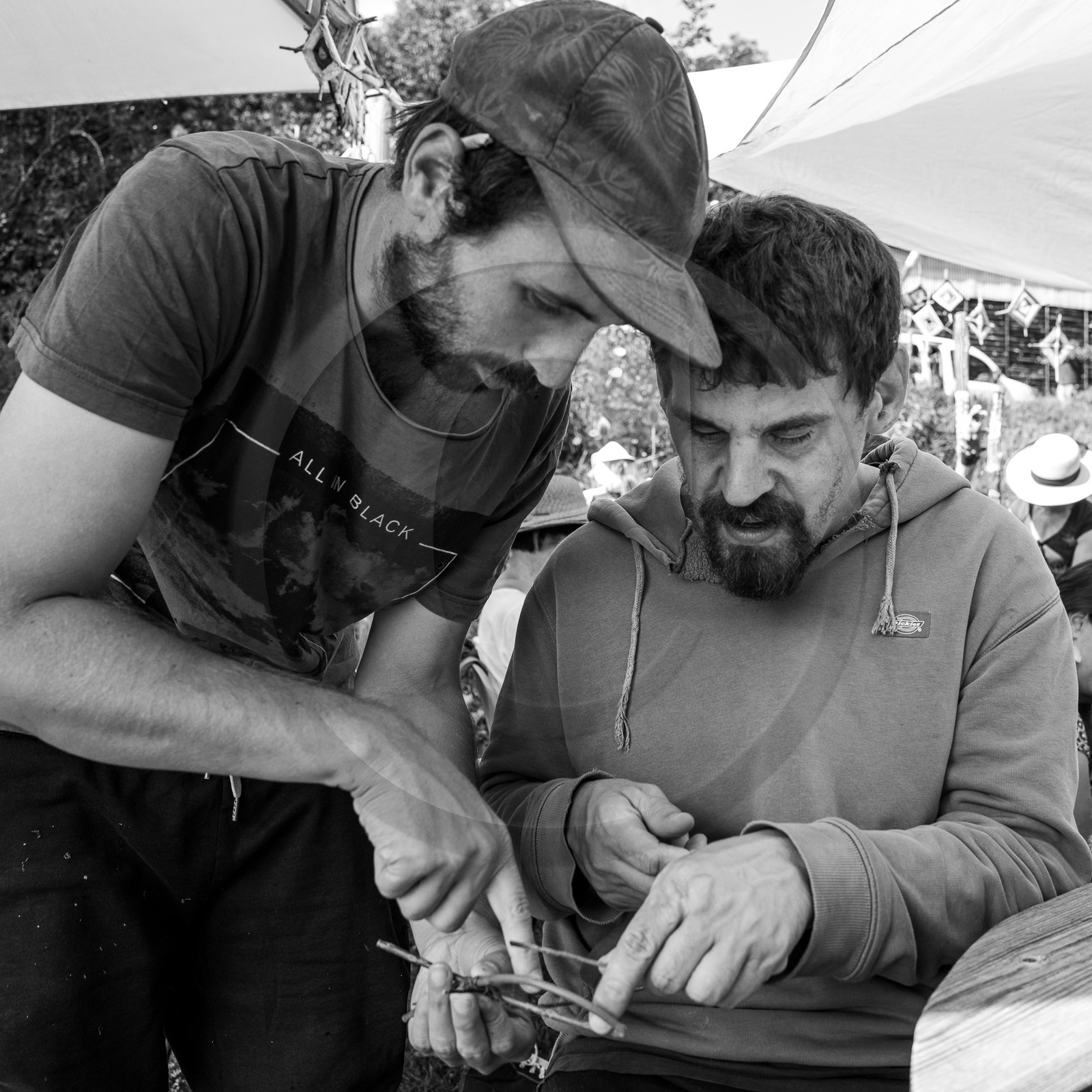 13 septembre 2023 : Osier et HydrOlique