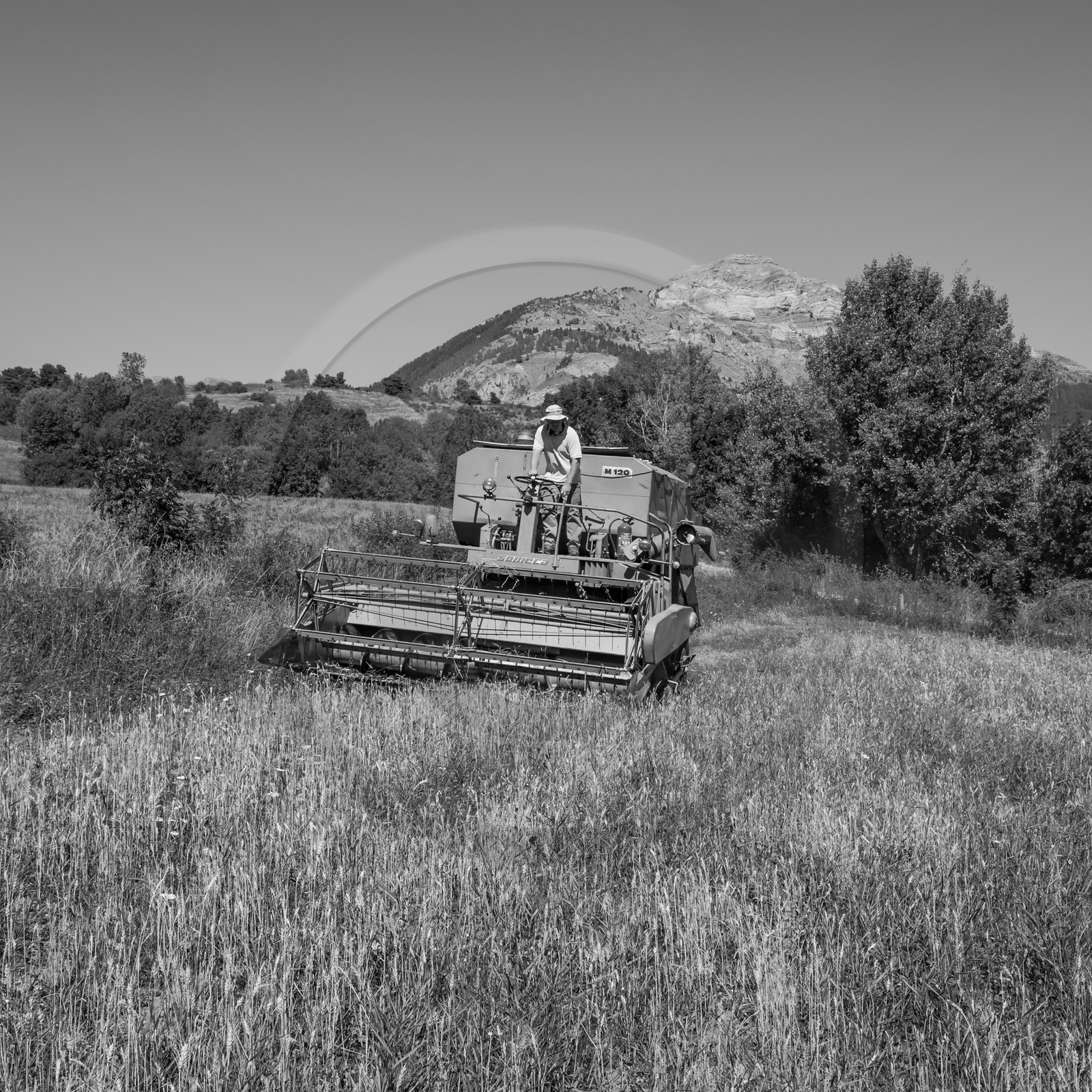 Les moissons dans le Champsaur
