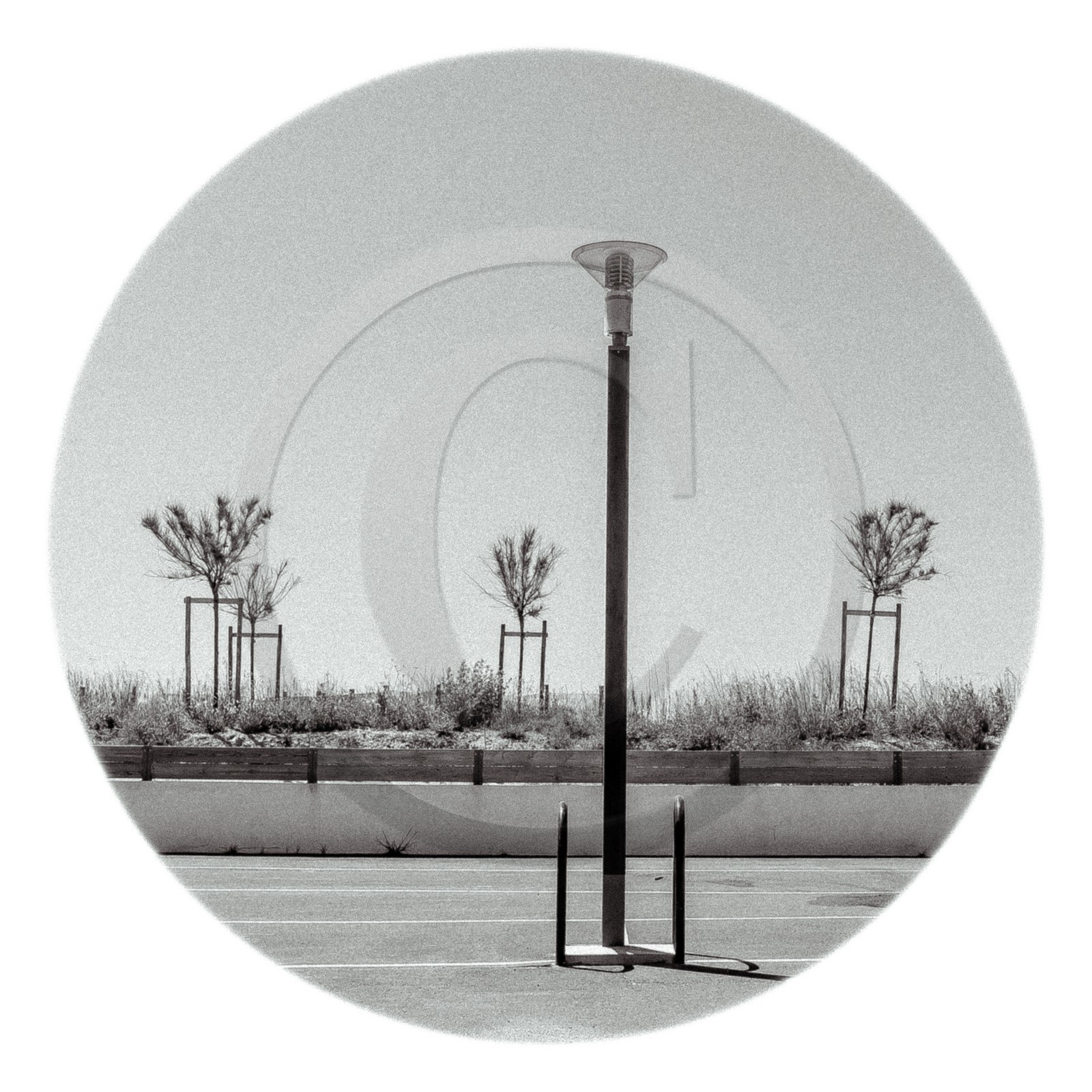 Les instants Camargue