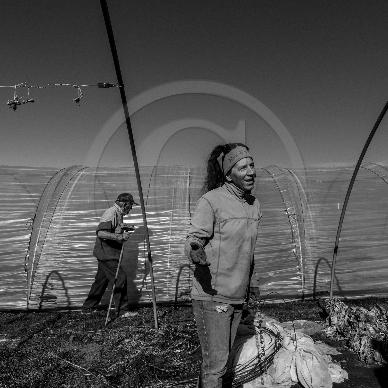 Montage de serres tunnel