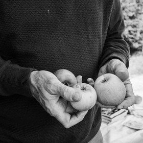 27 octobre 2019 : pommes, soupes et gâteaux