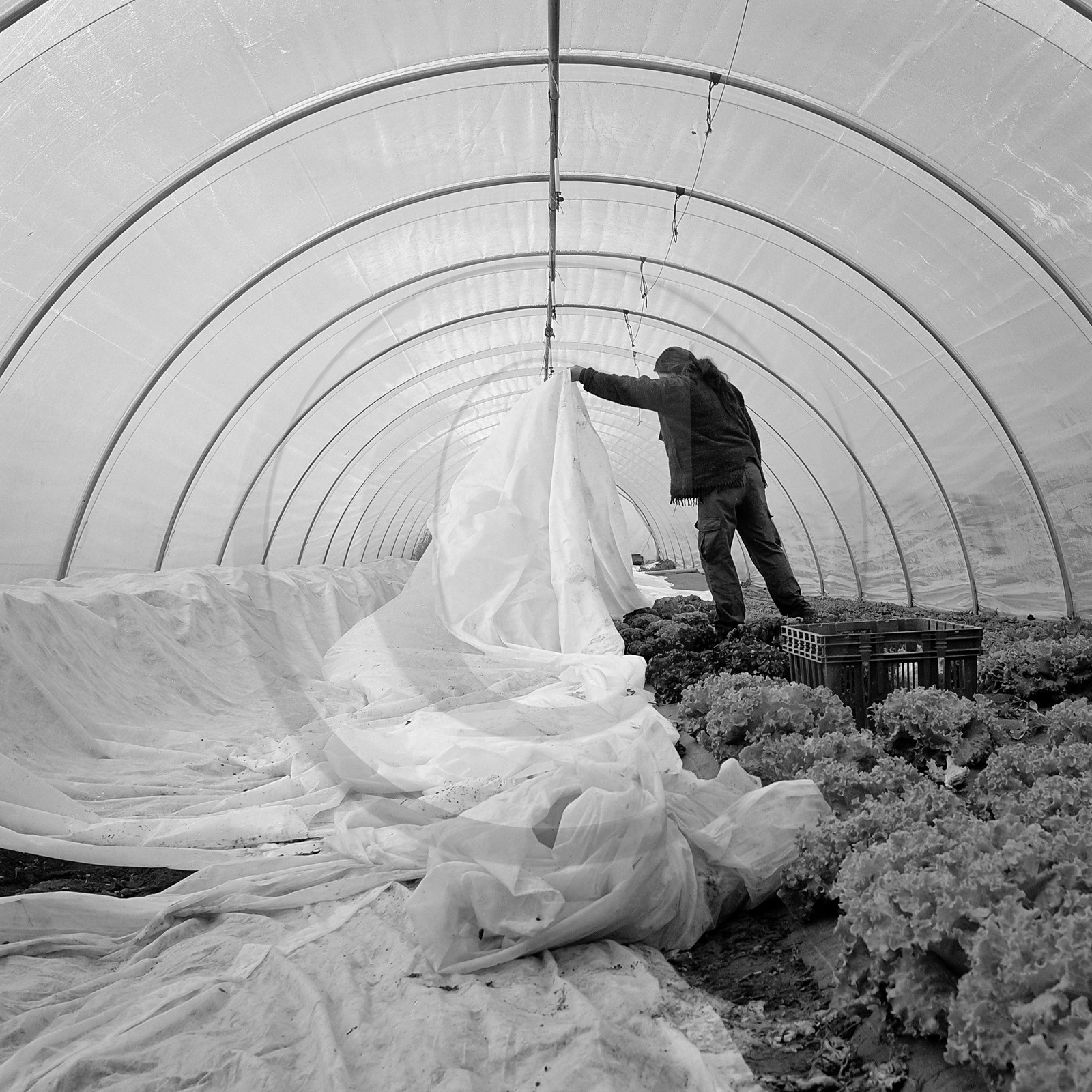 Sophie Jaussaud, maraichère à Ancelle