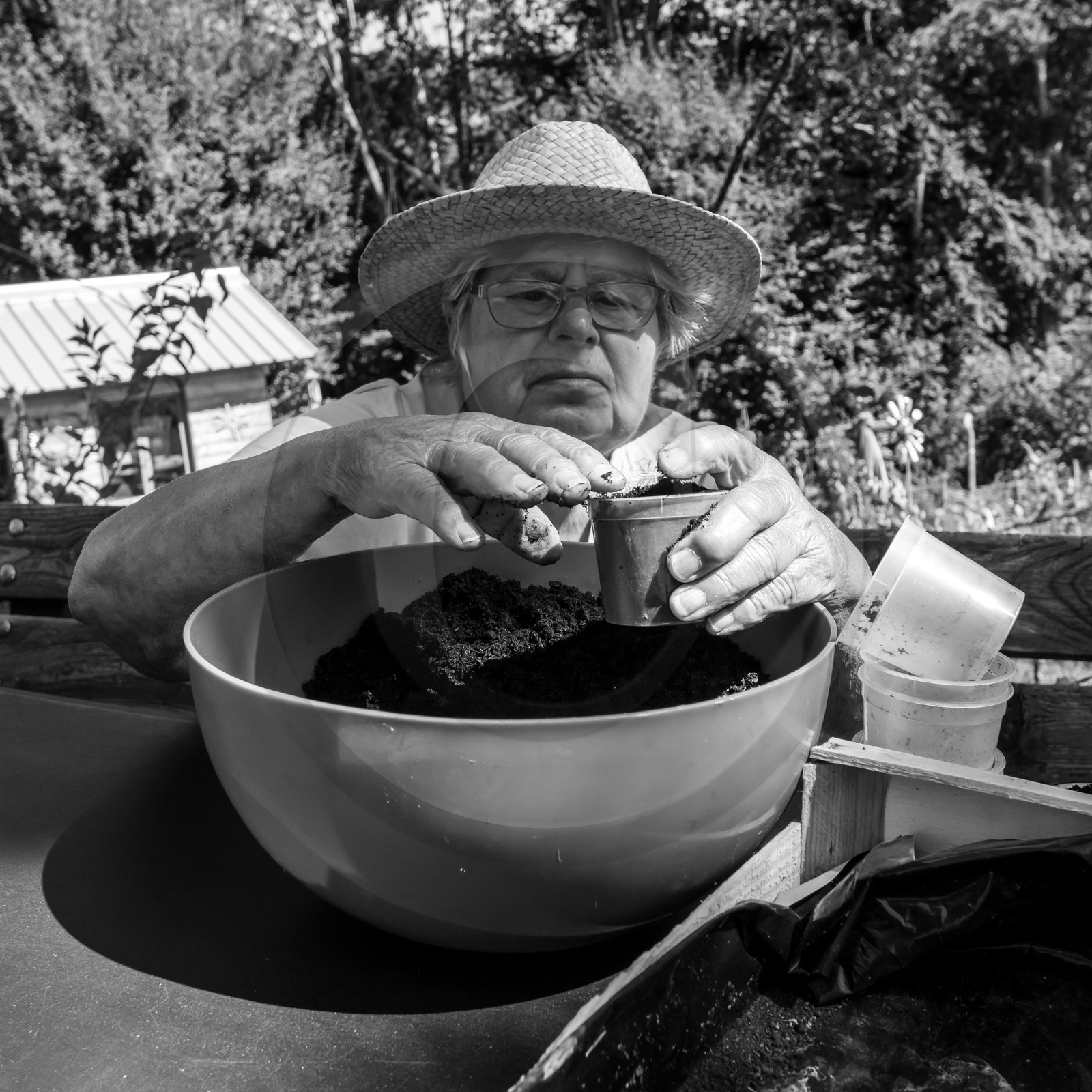 Activités au jardin