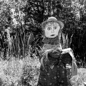 05 juillet 2017 - Installation épouvantails