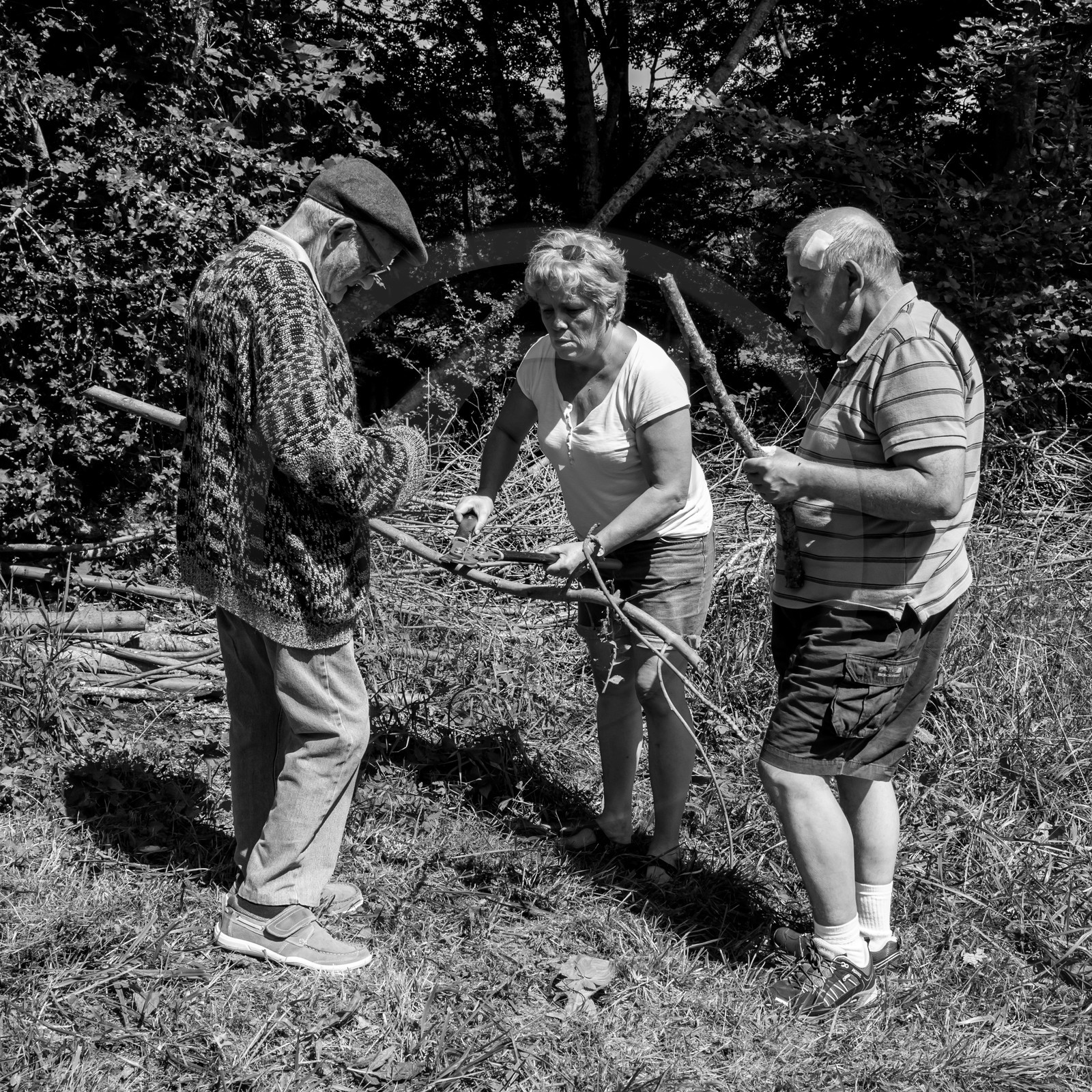 12 juillet 2017 - Moulins à vent