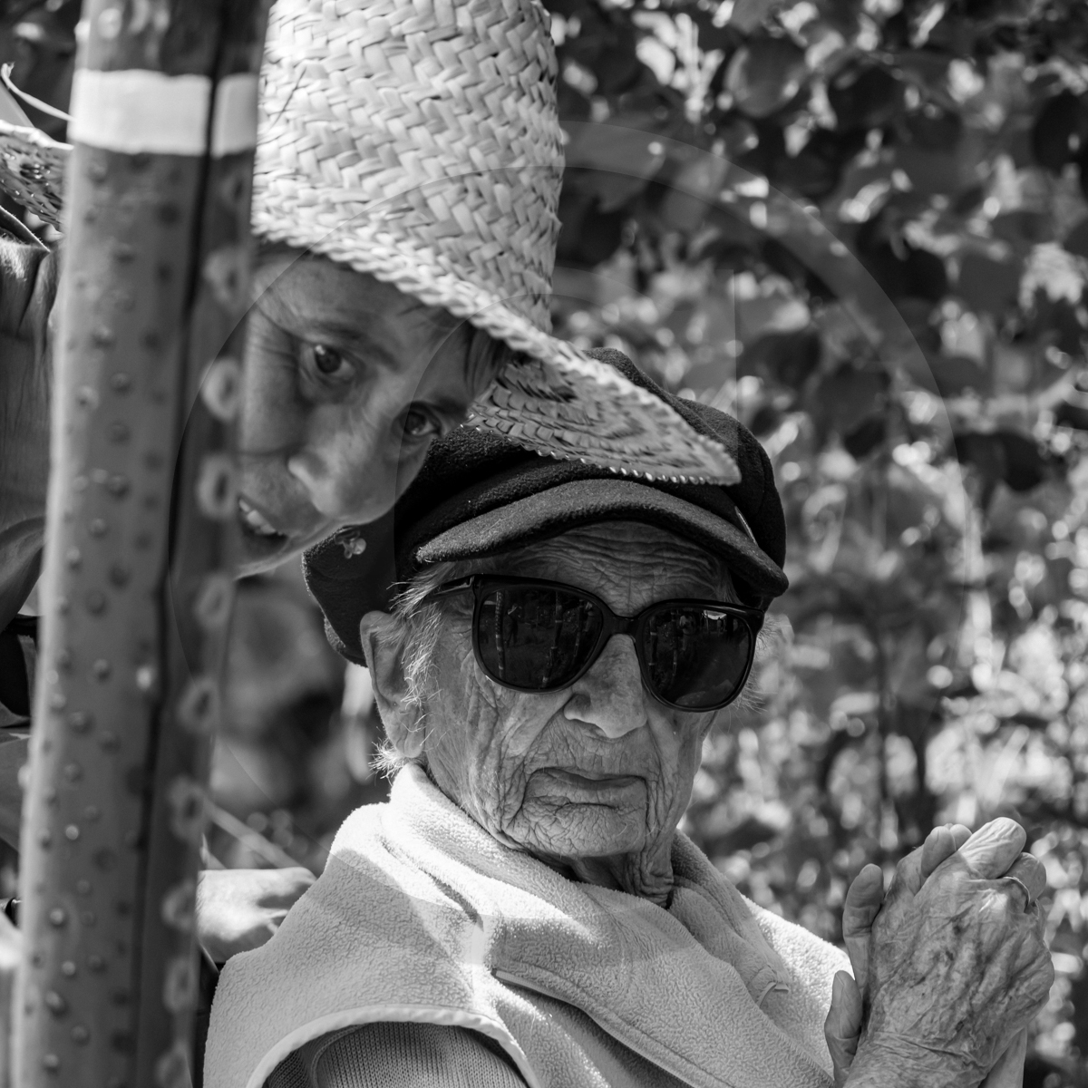 29 juin 2022 : Découverte des plantes sauvages