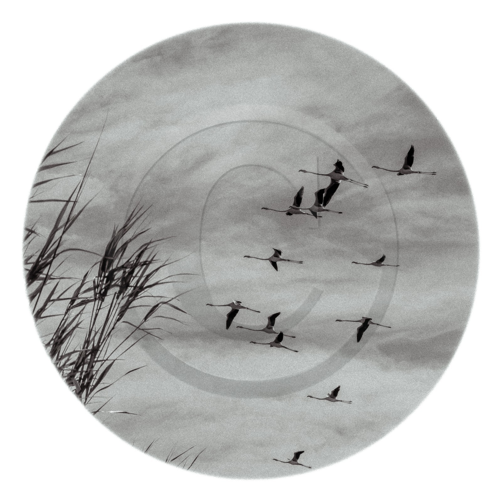 Les instants Camargue