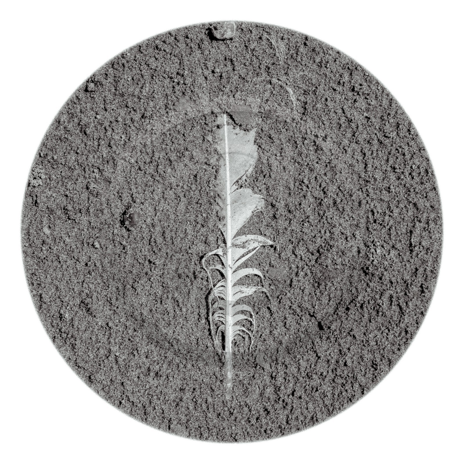 Les instants Camargue