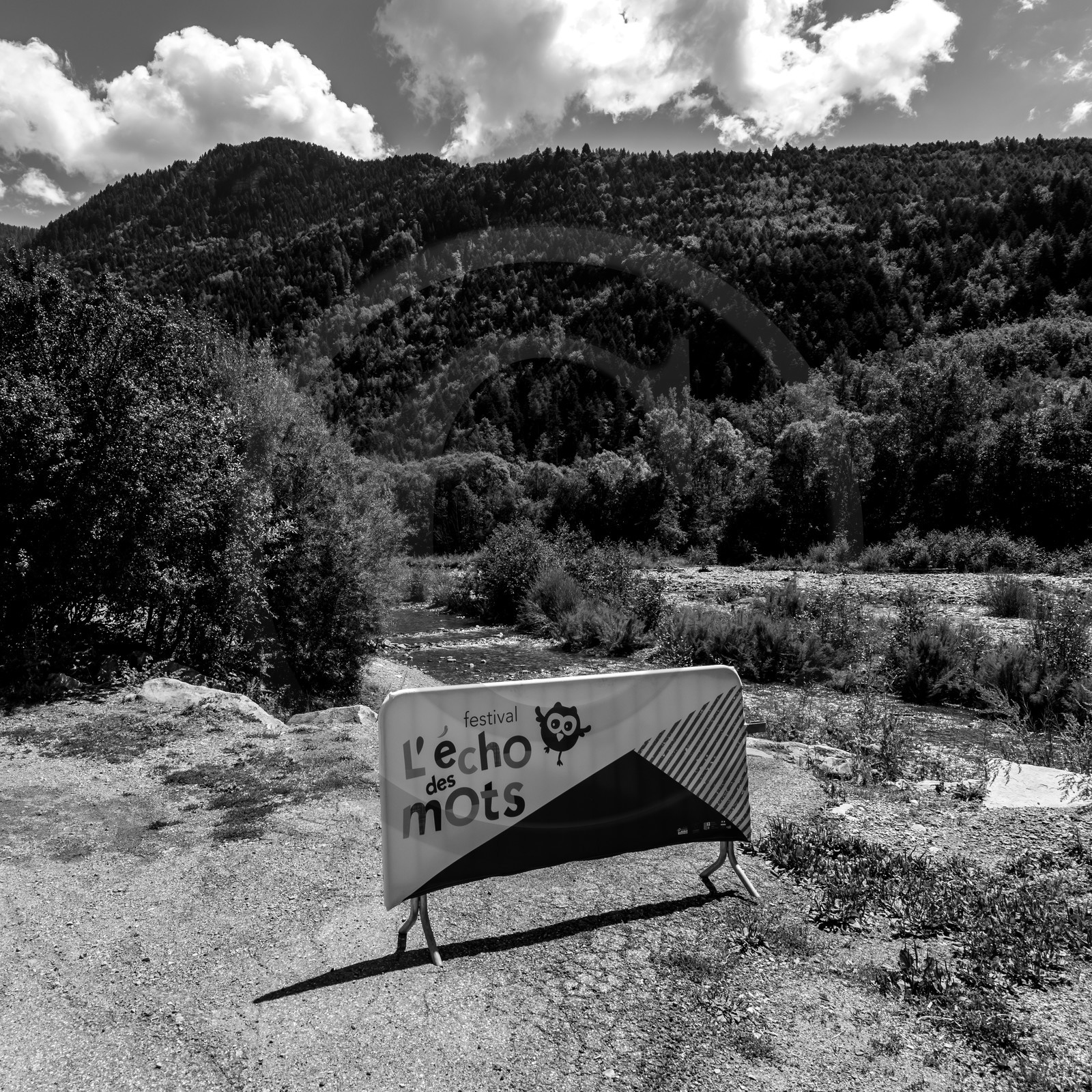 L'écho des mots