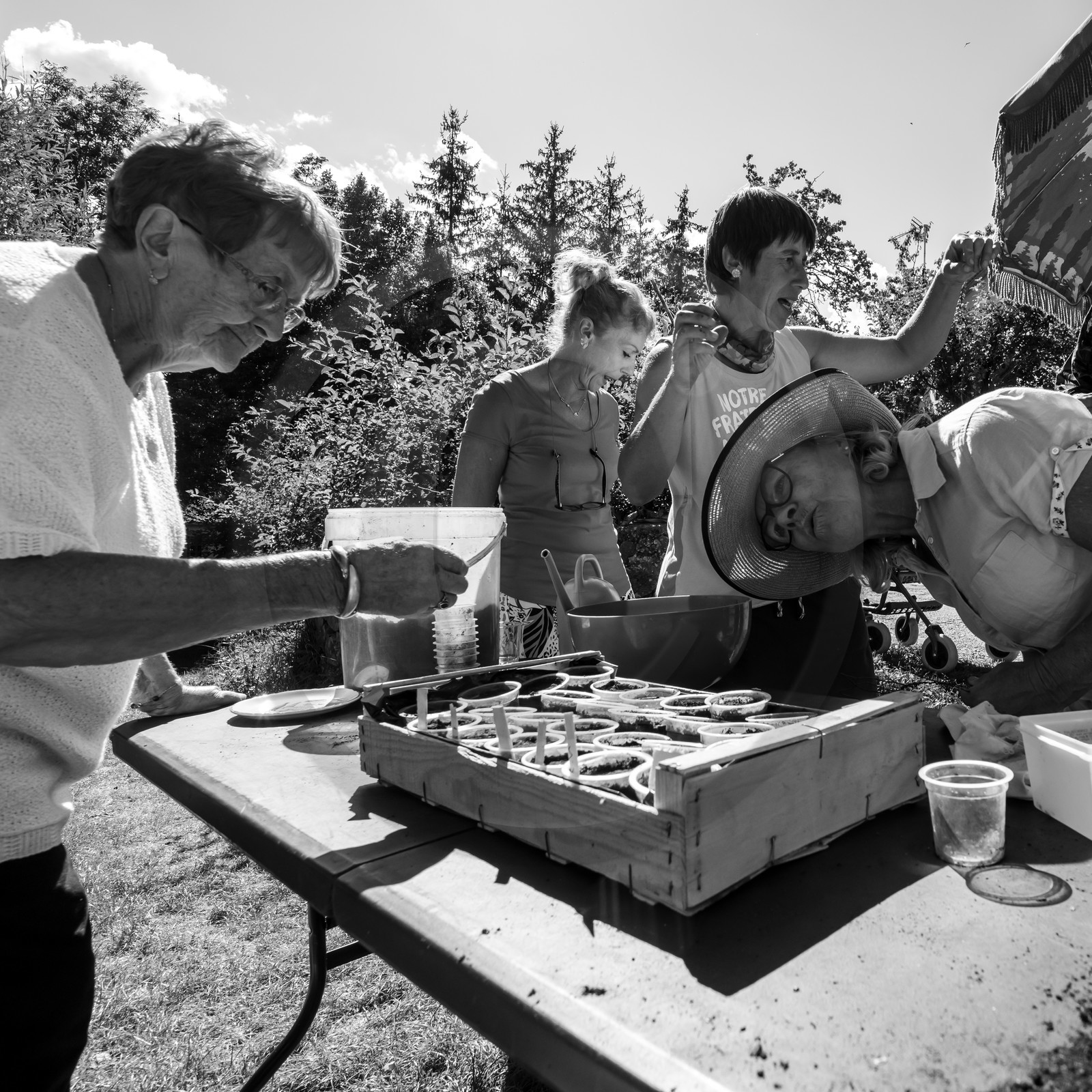 Activités au jardin