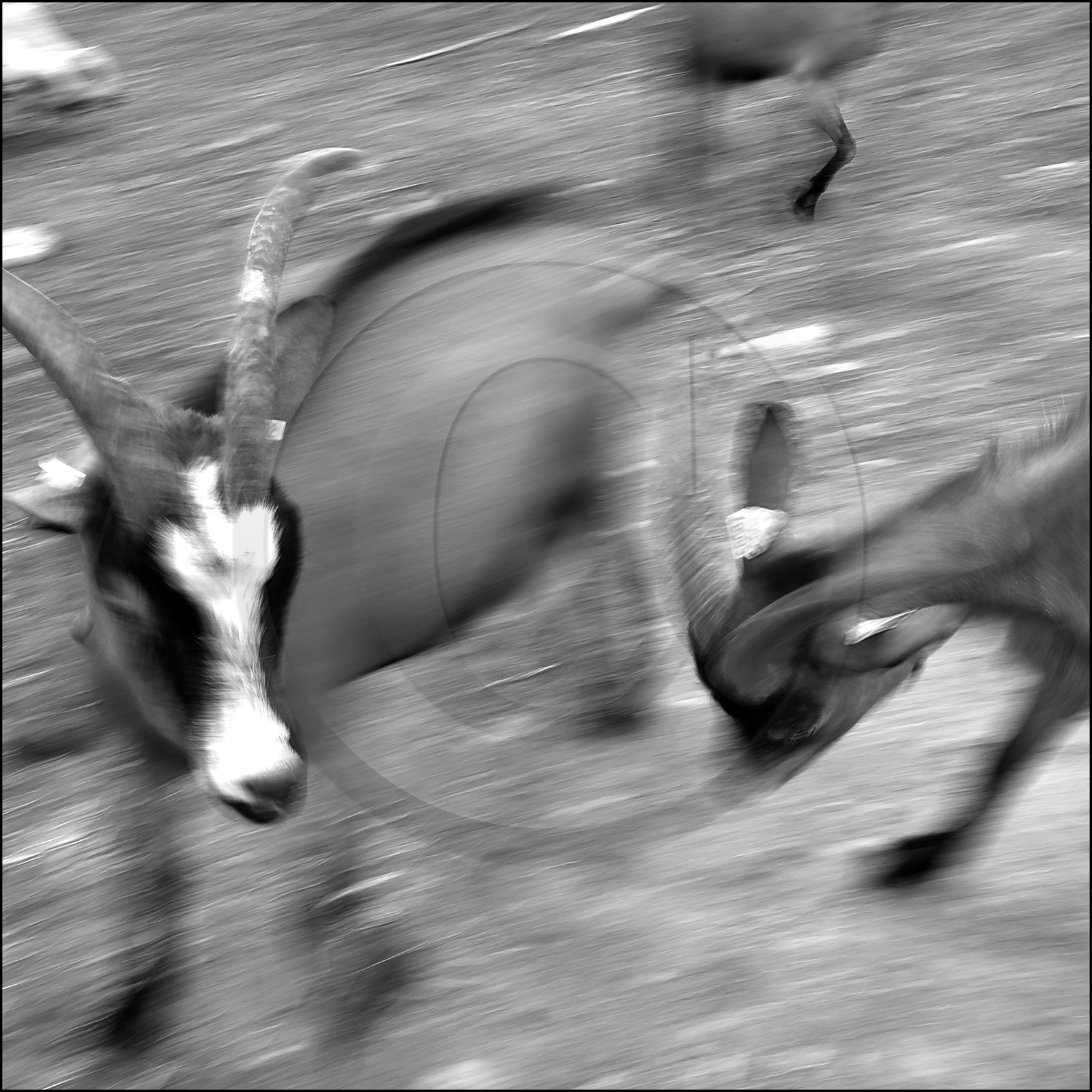 La ferme des Cabrioles