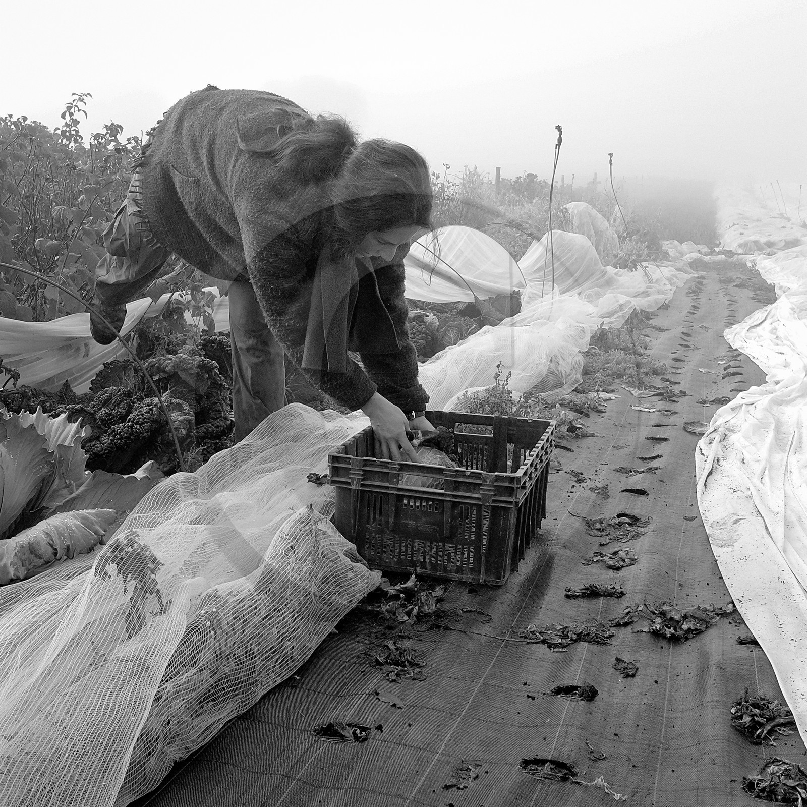 Sophie Jaussaud, maraichère à Ancelle