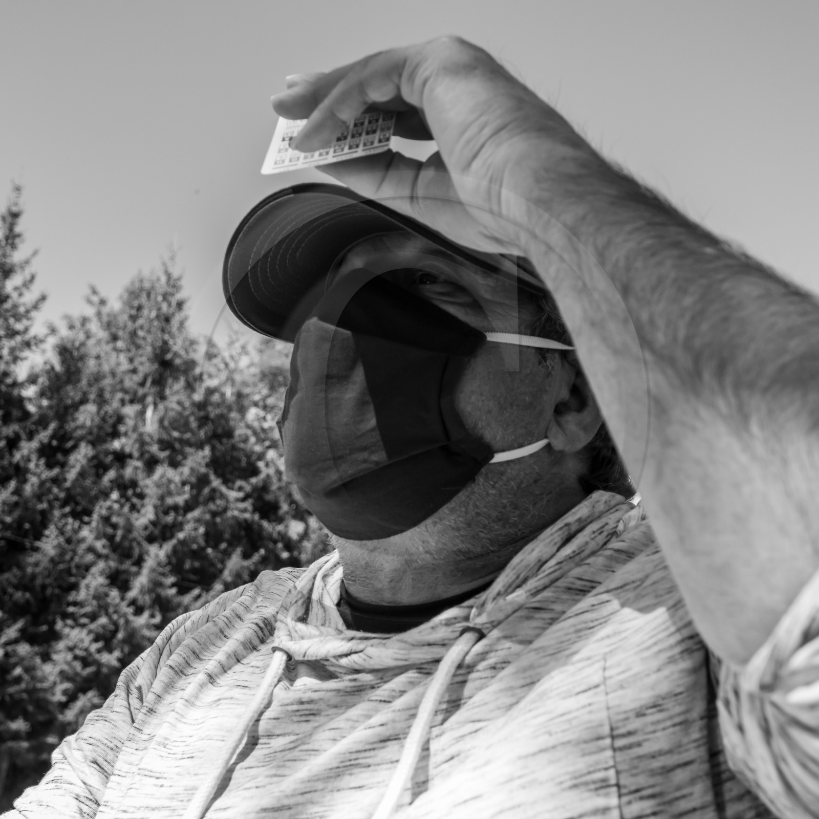 Activités au jardin