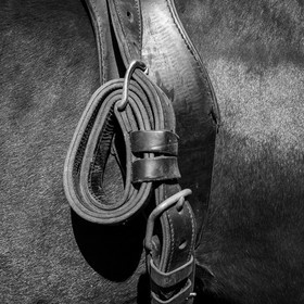 Labour avec un cheval