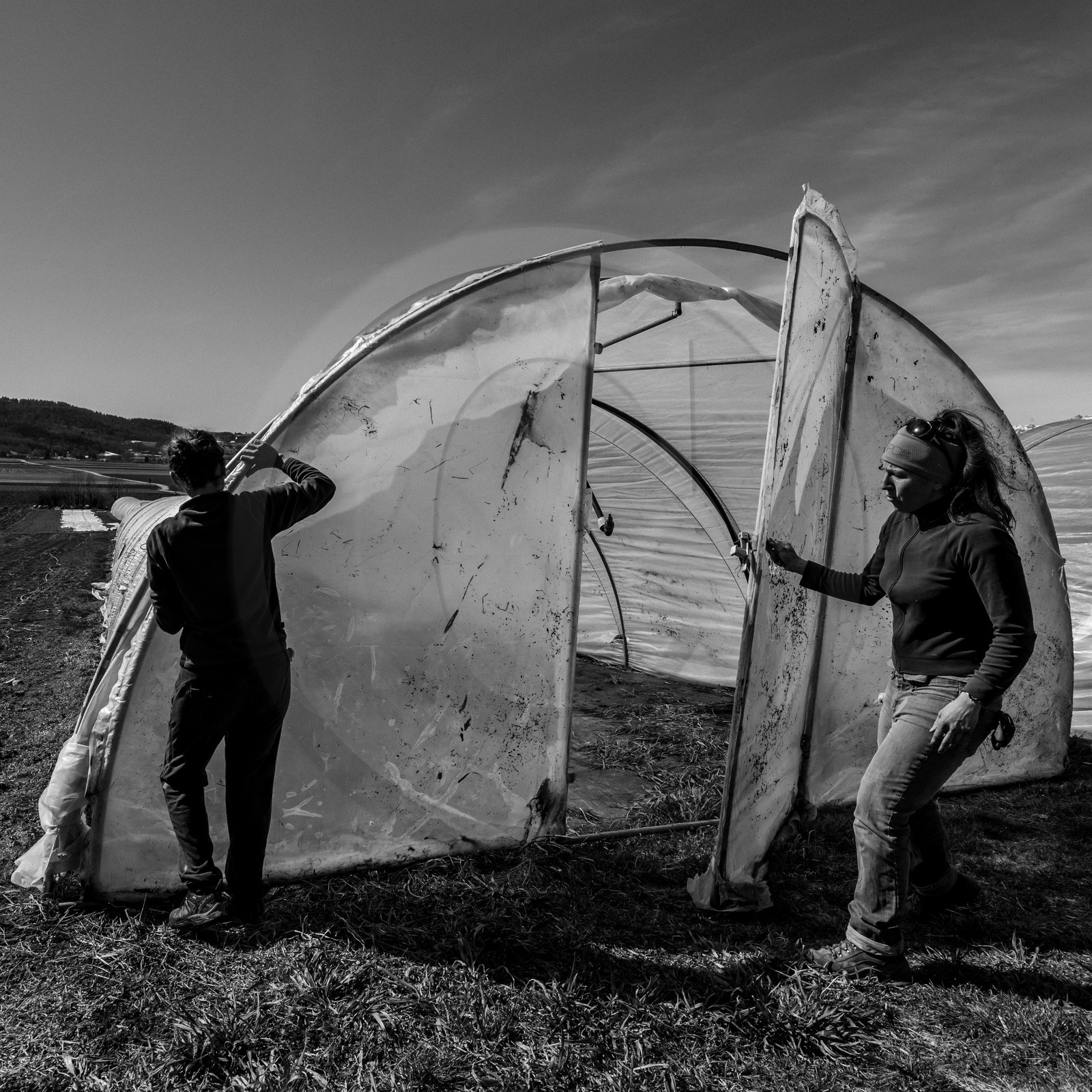 Montage de serres tunnel
