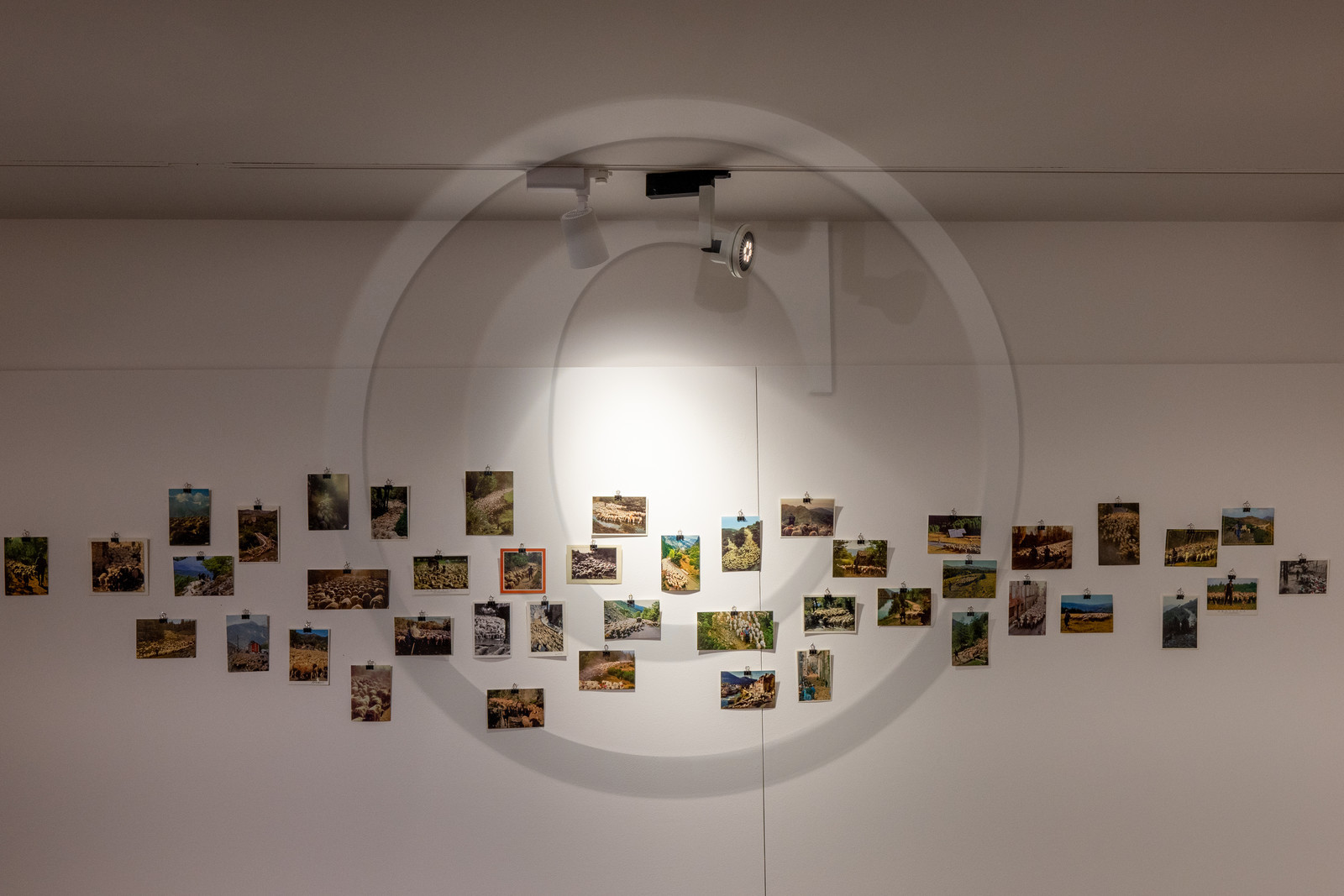 Expositions à la maison du Berger - Champoléon