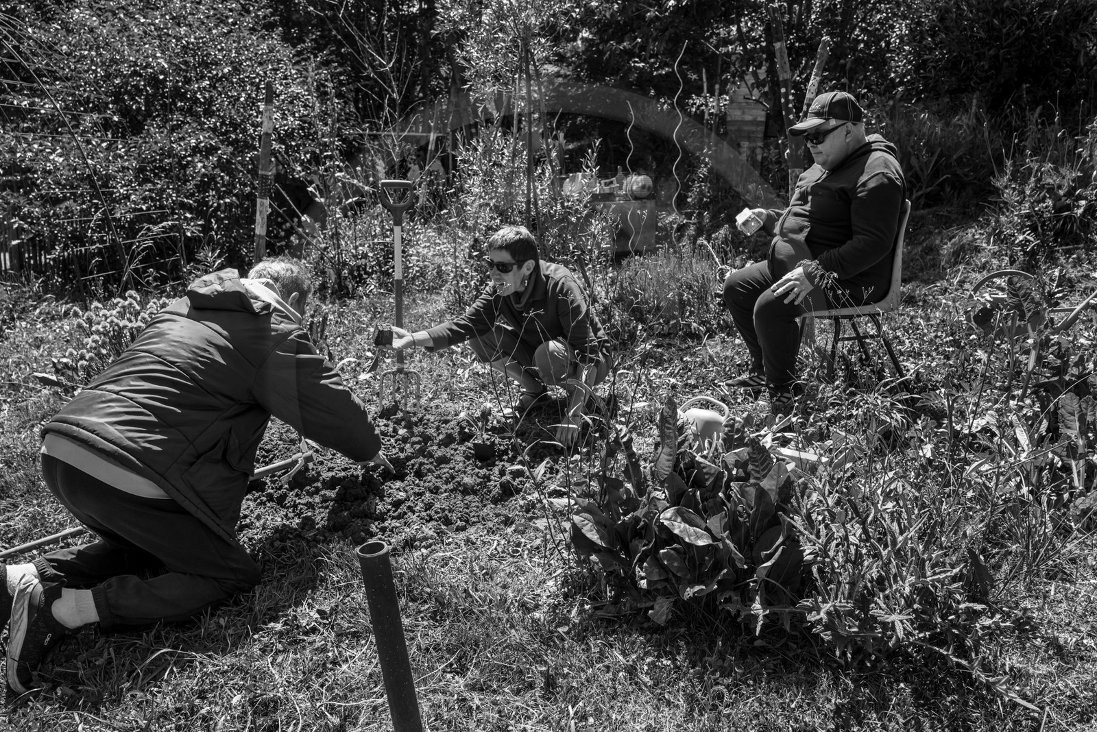 12 juin 2024 : création d'un jeu et jardinage