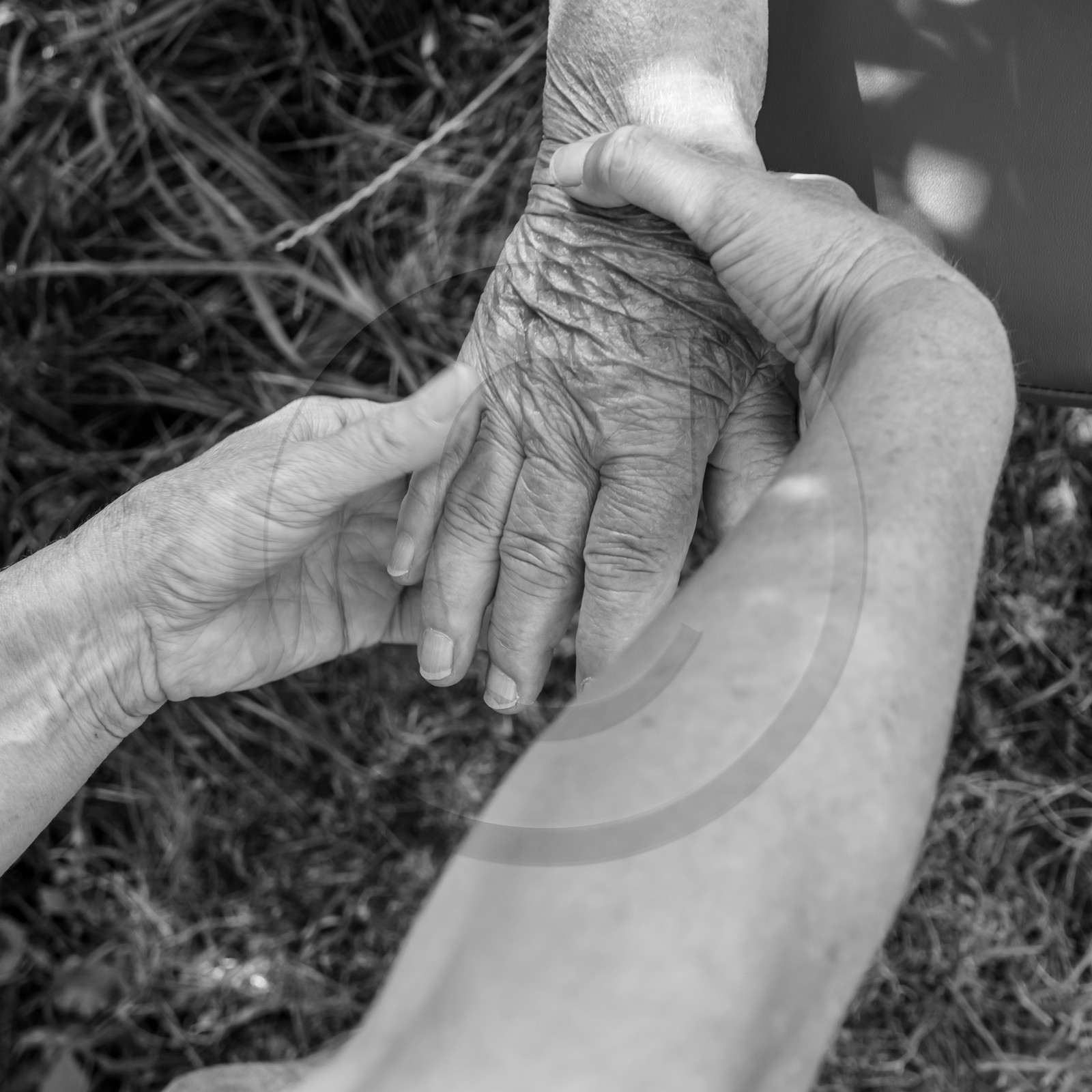 Animations au jardin