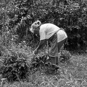 28 juin 2021 : Journée des aidants à l'Ouort.