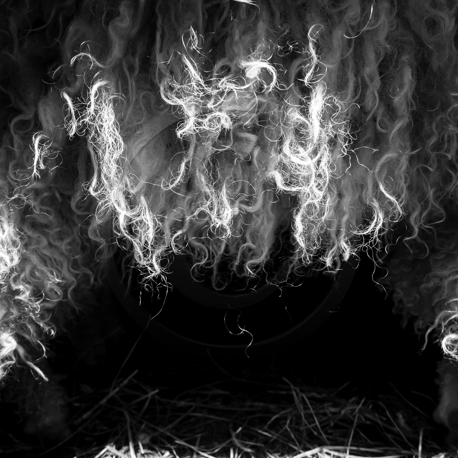 Le mohair arc en ciel