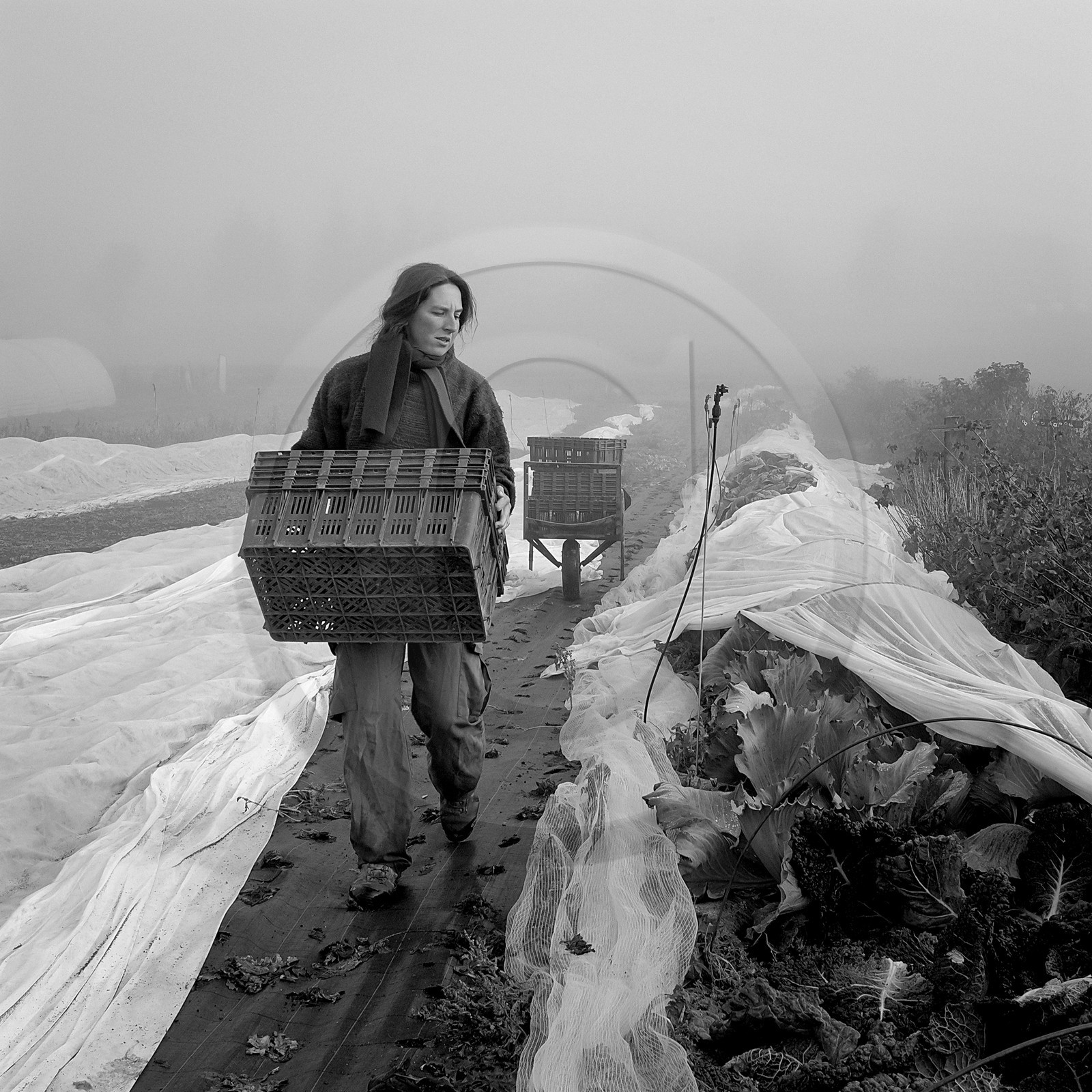 Sophie Jaussaud, maraichère à Ancelle