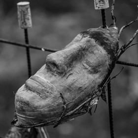 20 avril 2022 : des contes, des pommes de terre et un petit café