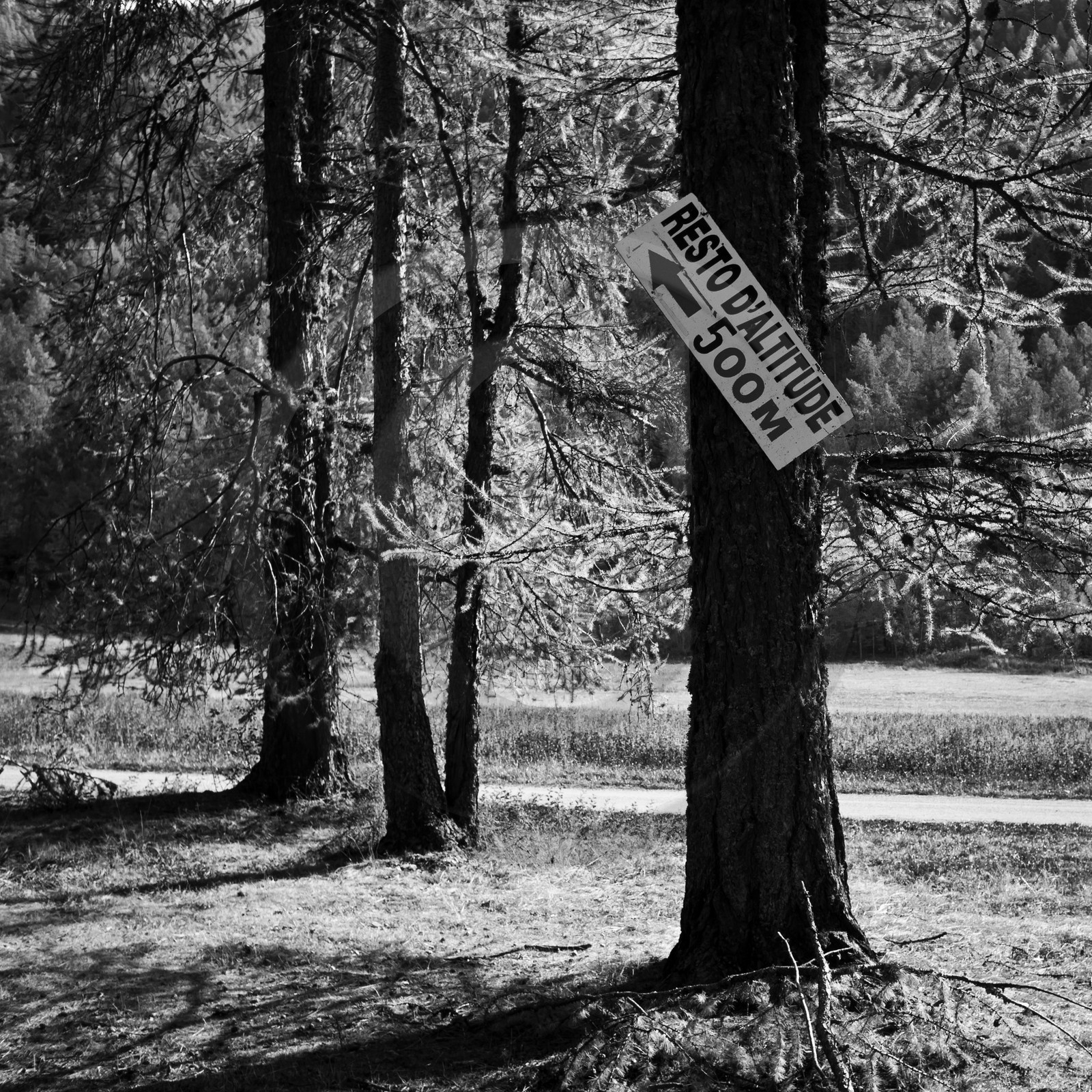 En attendant la neige