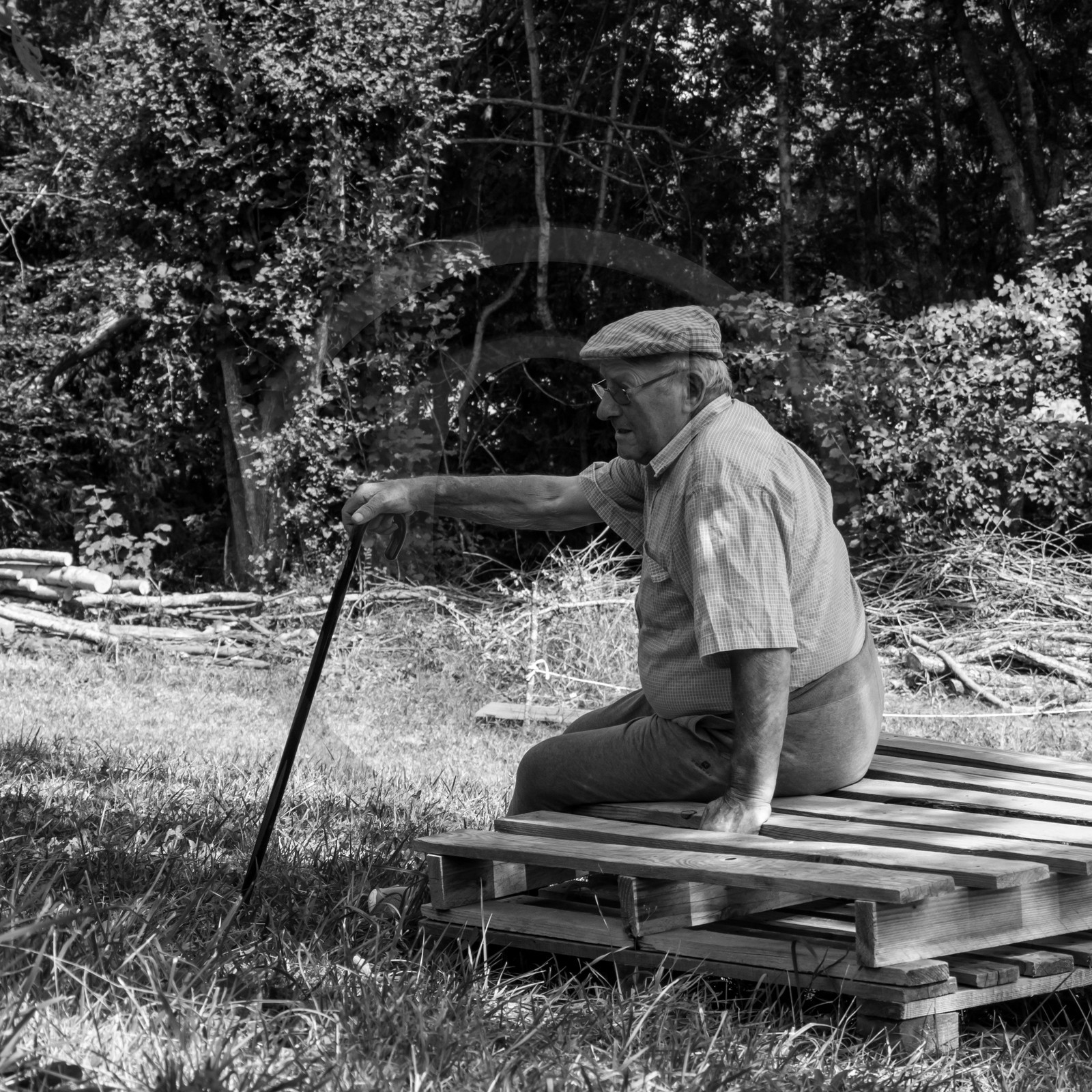 23 août 2017 - Animations