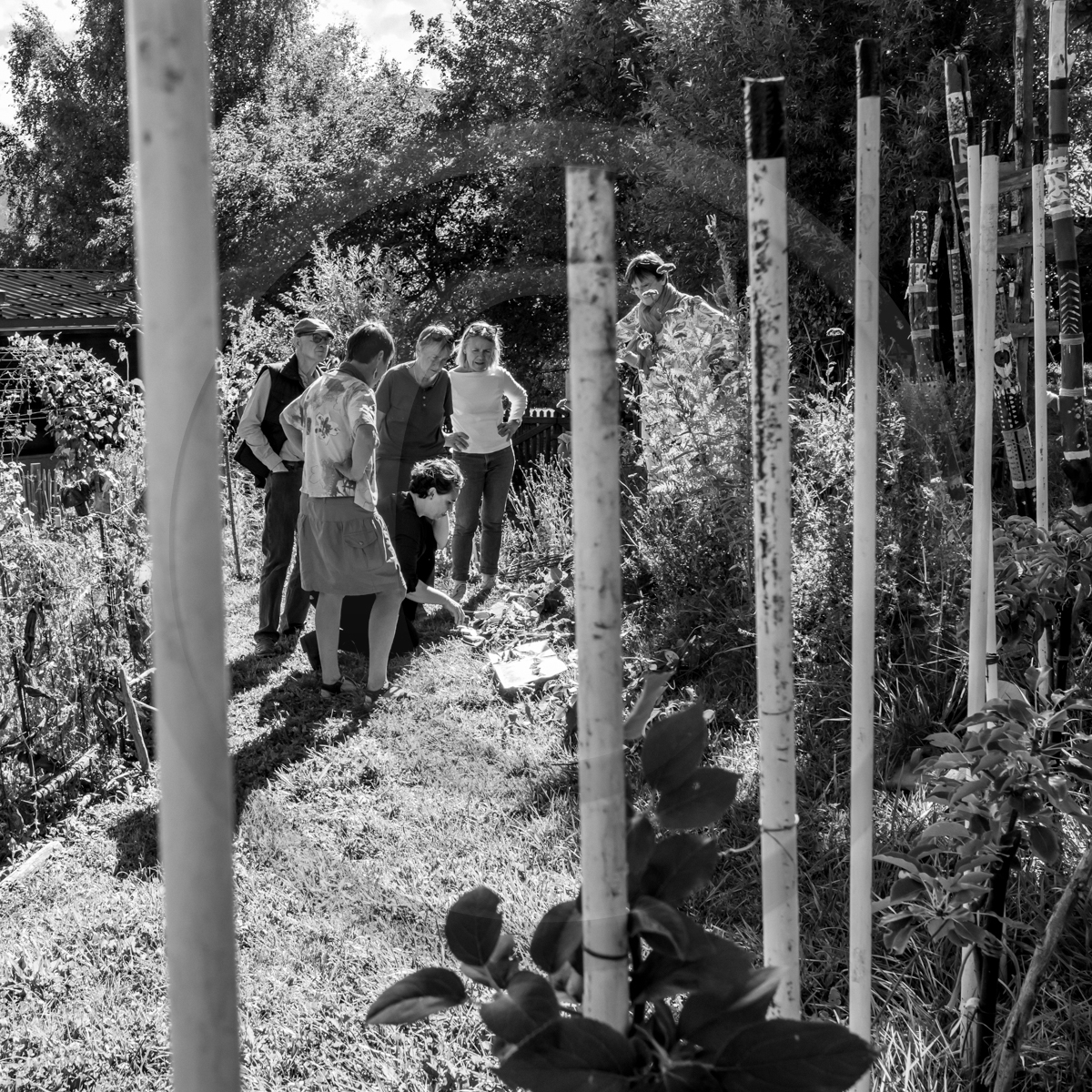 09 septembre 2022 : Journ&ée des aidants et des aidés