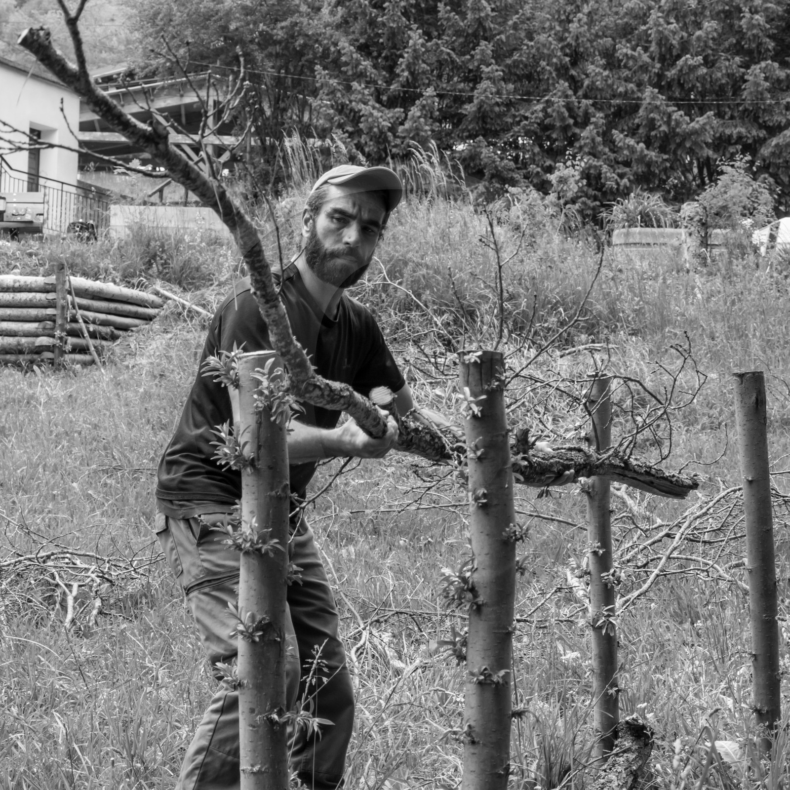 31 mai 2017 - Jardinage