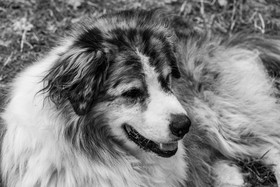 30 août 2023 : Lectures au jardin