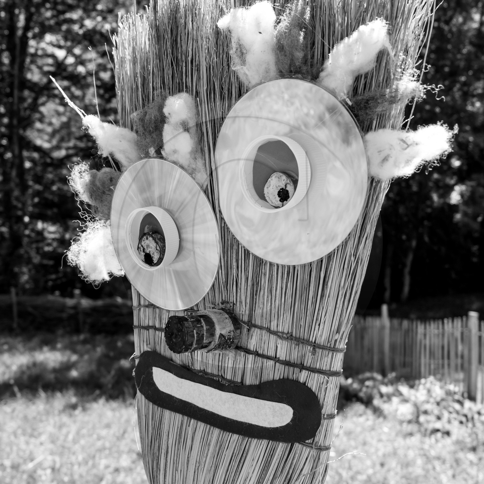 05 juillet 2017 - Installation épouvantails