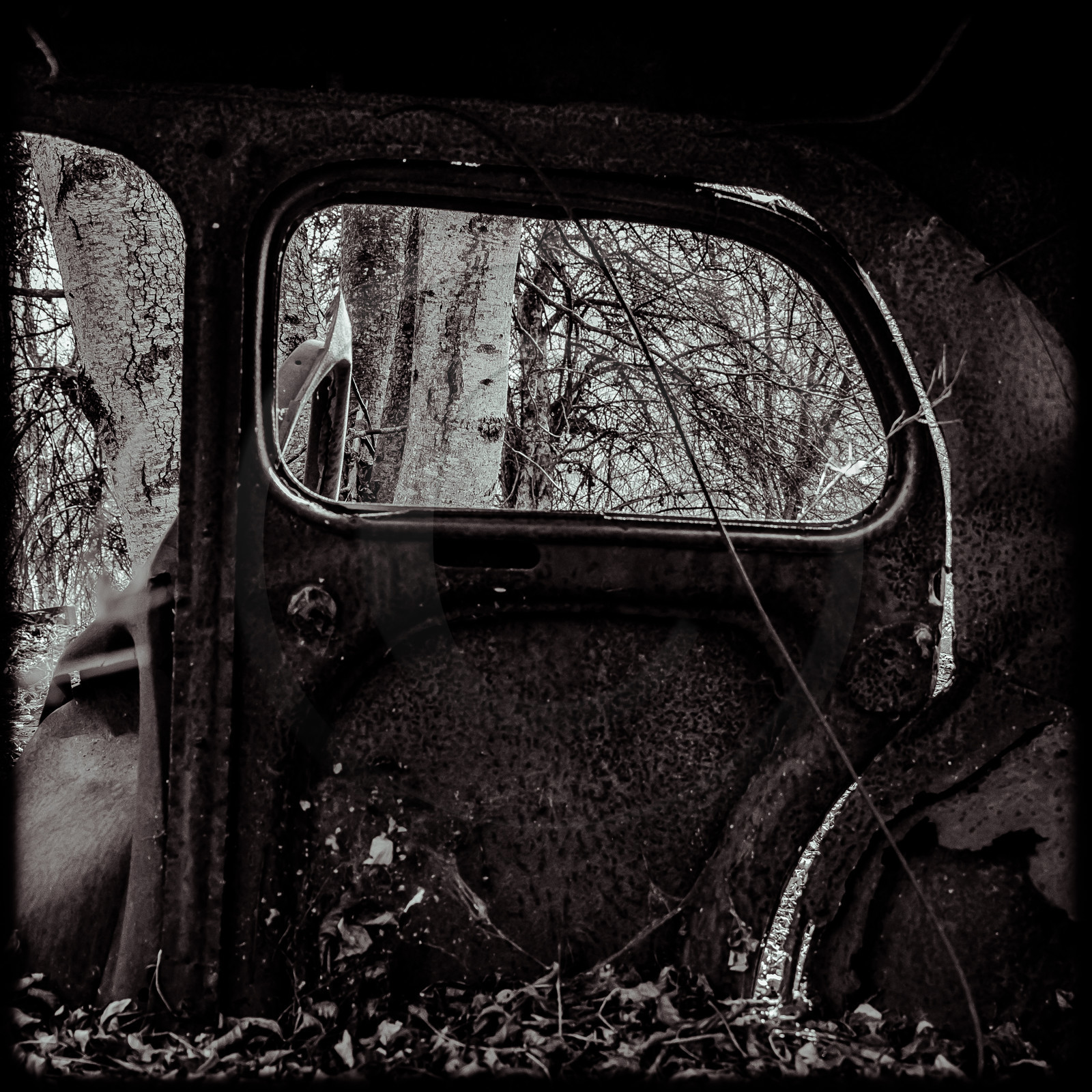 Un cimetière de voitures