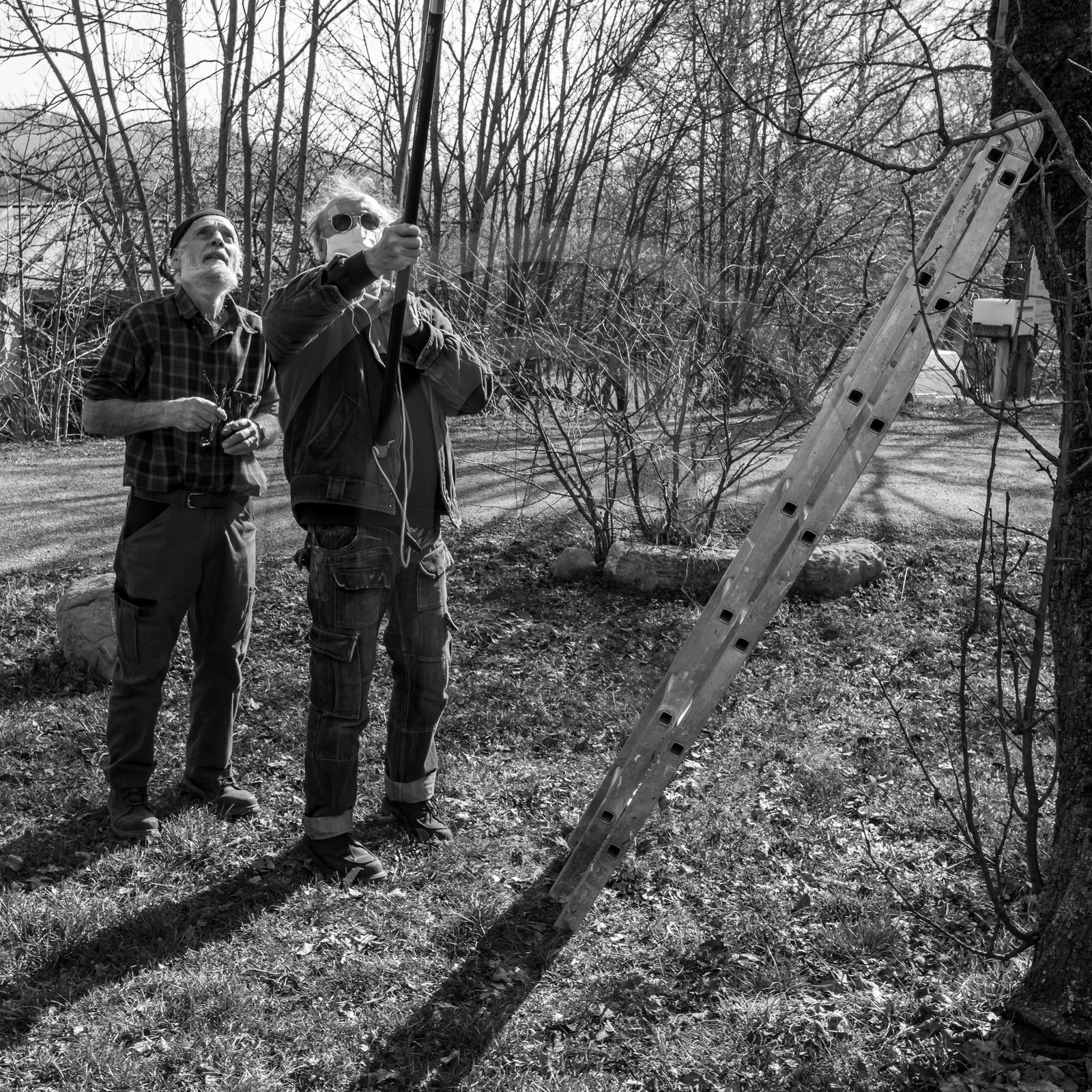 24 février 2021 : on taille, on prépare le jardin...