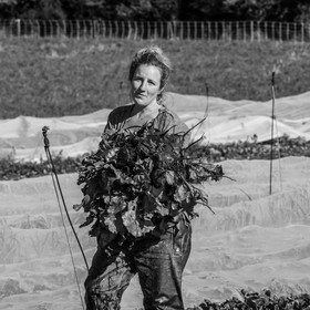 Maraichage biologique dans le Champsaur