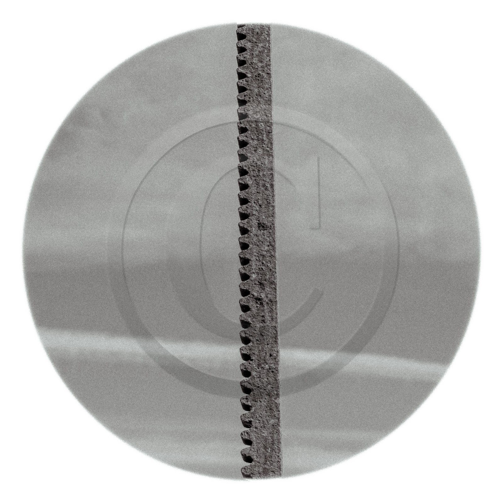 Les instants Camargue