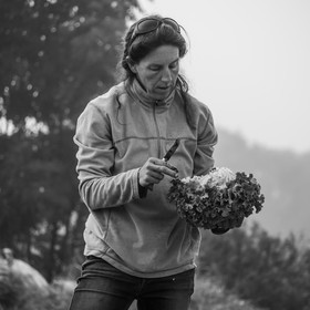 Maraichage biologique dans le Champsaur