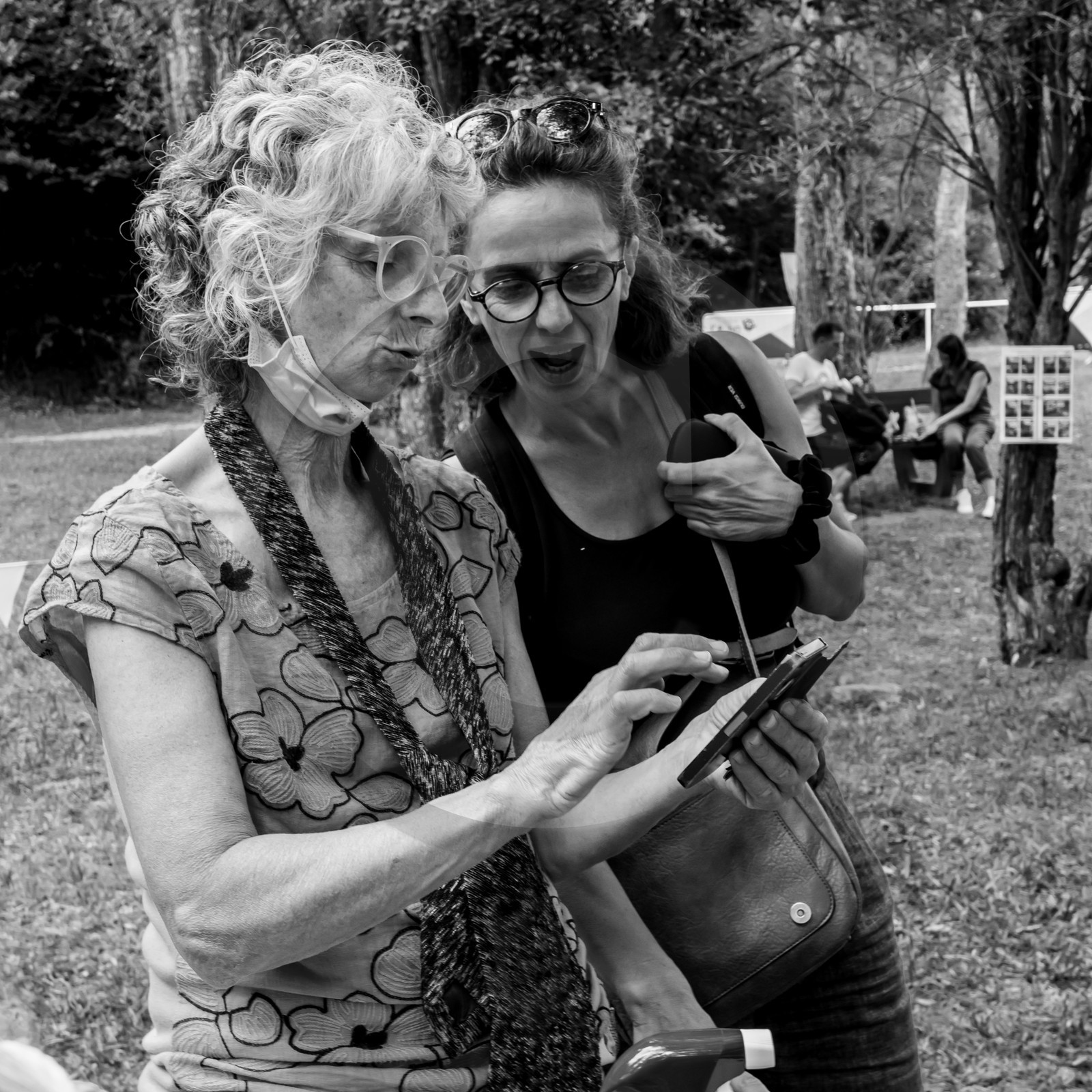 Festival l'Echo des mots