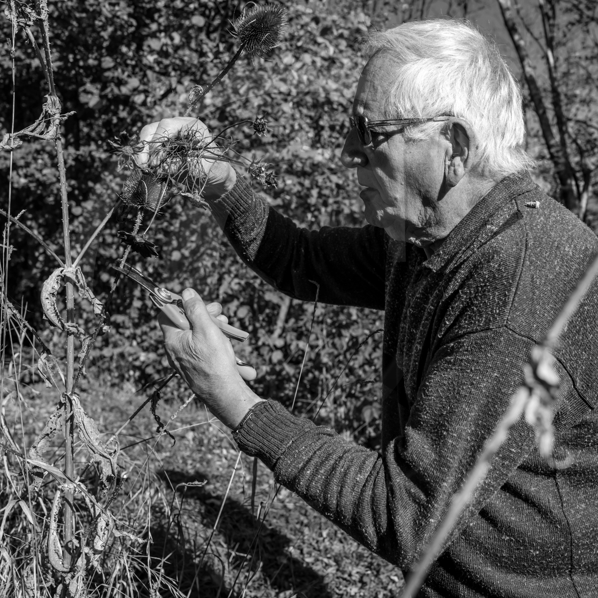 26 octobre 2022 : dernier mercredi de la saison à l'Ouort