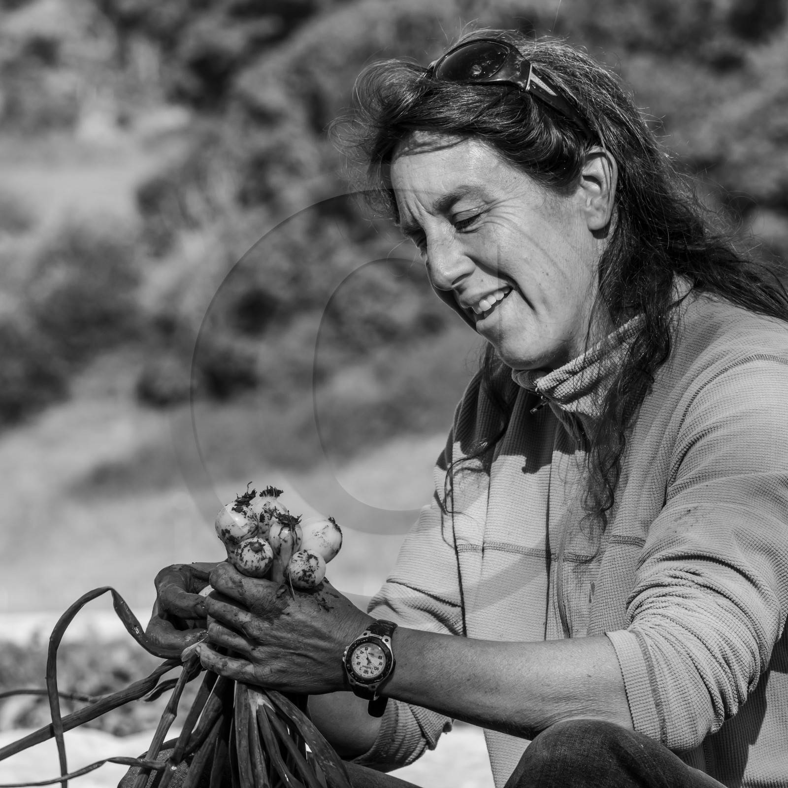 Maraichage biologique dans le Champsaur