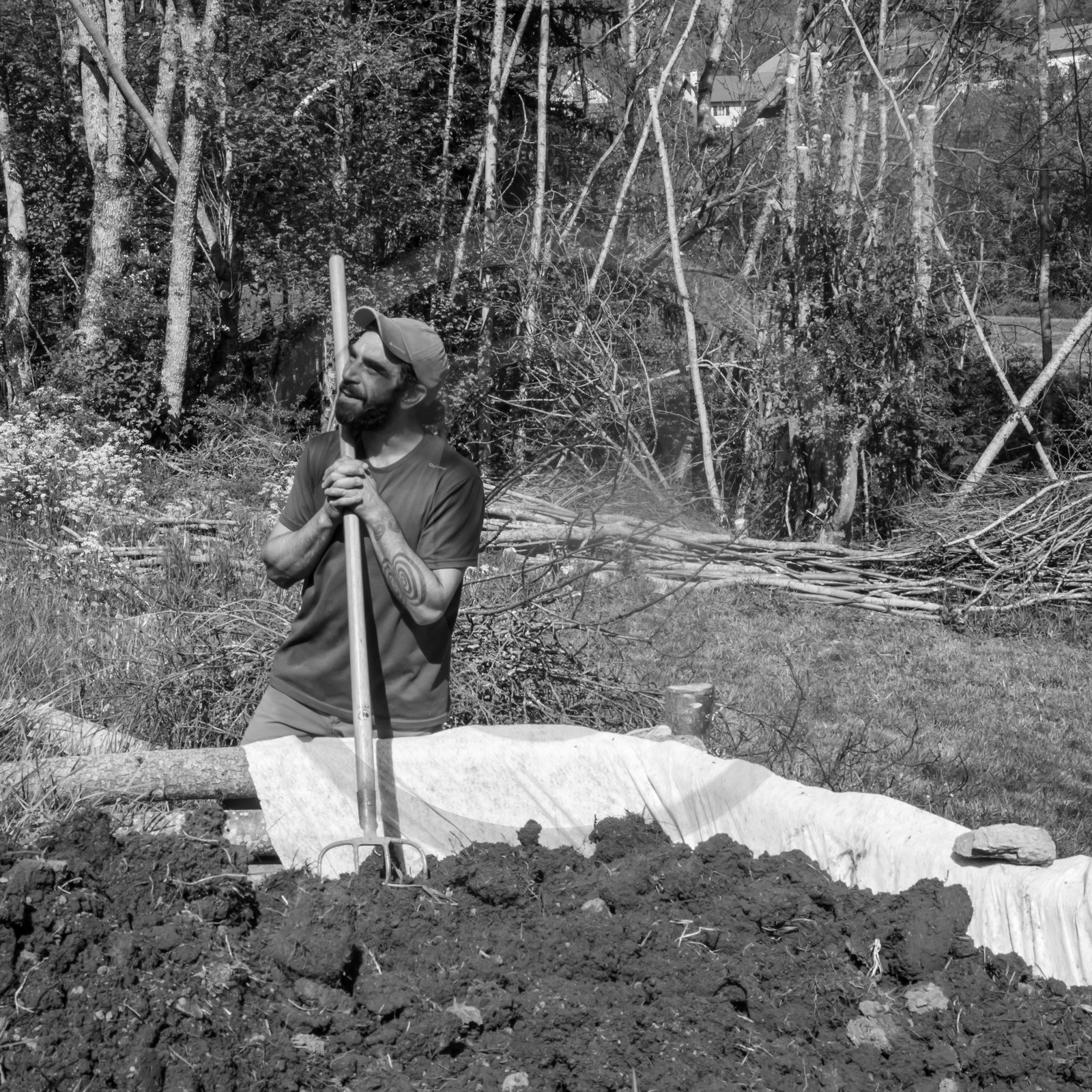 31 mai 2017 - Jardinage