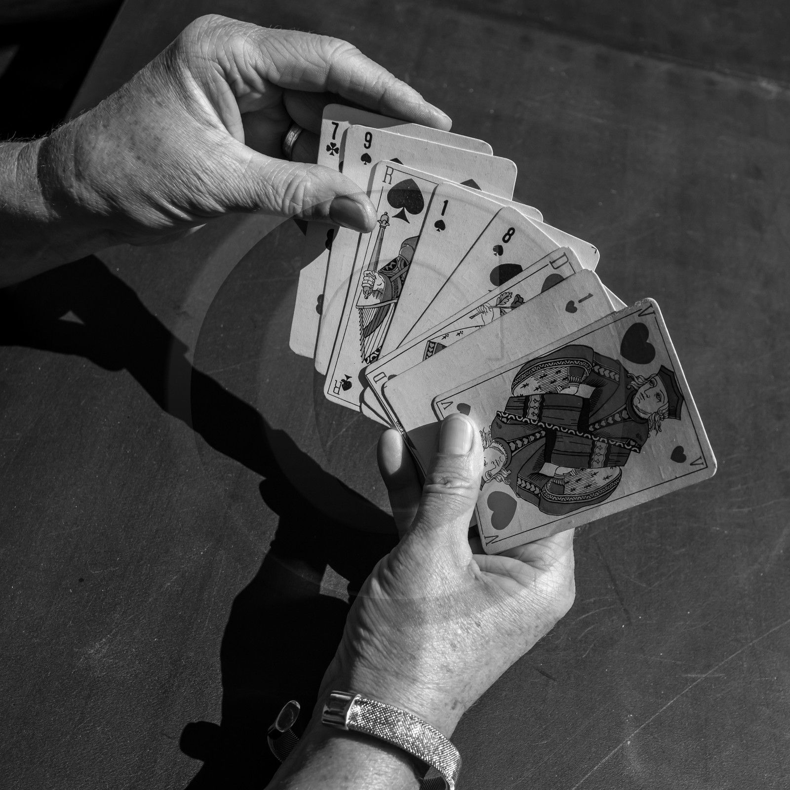 Activités au jardin