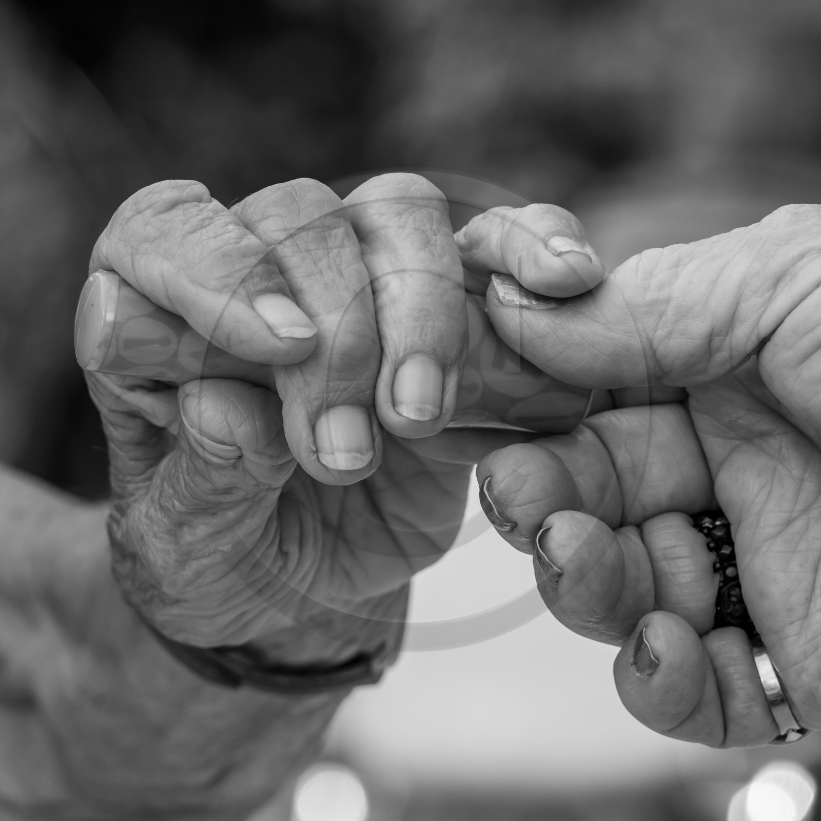 08 septembre 2021 : des jeux et des aménagements au jardin