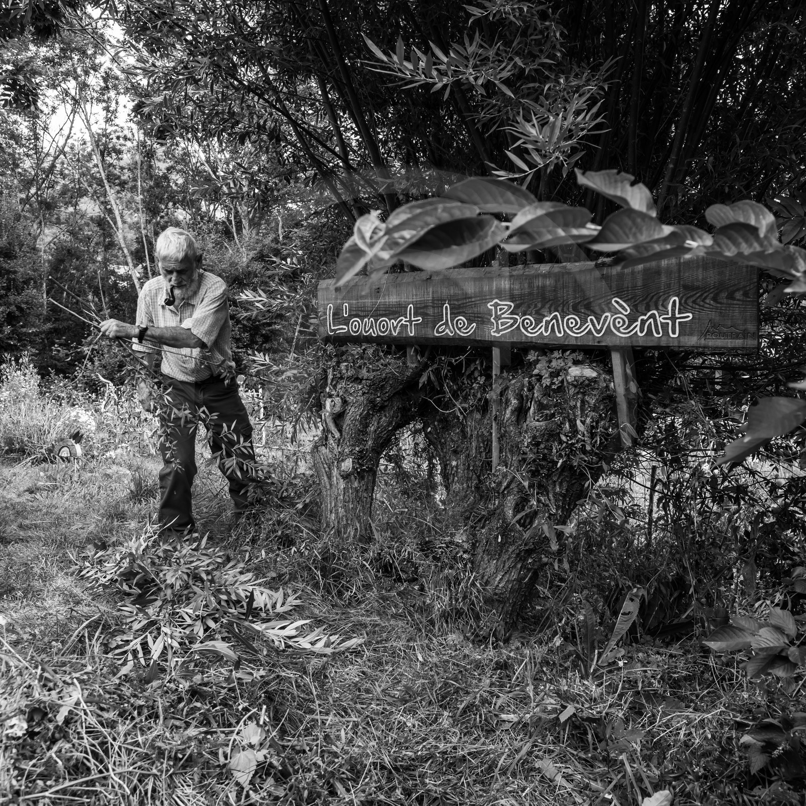 Promenades au jardin