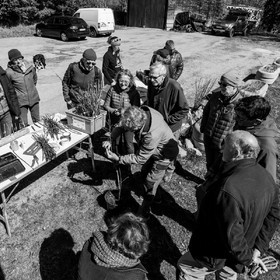 10 avril 2022 : Initiation à la greffe d'arbres fruitiers