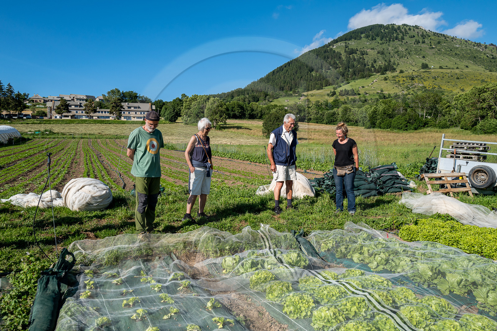 Légumontagne : maraichage biologique à Ancelle