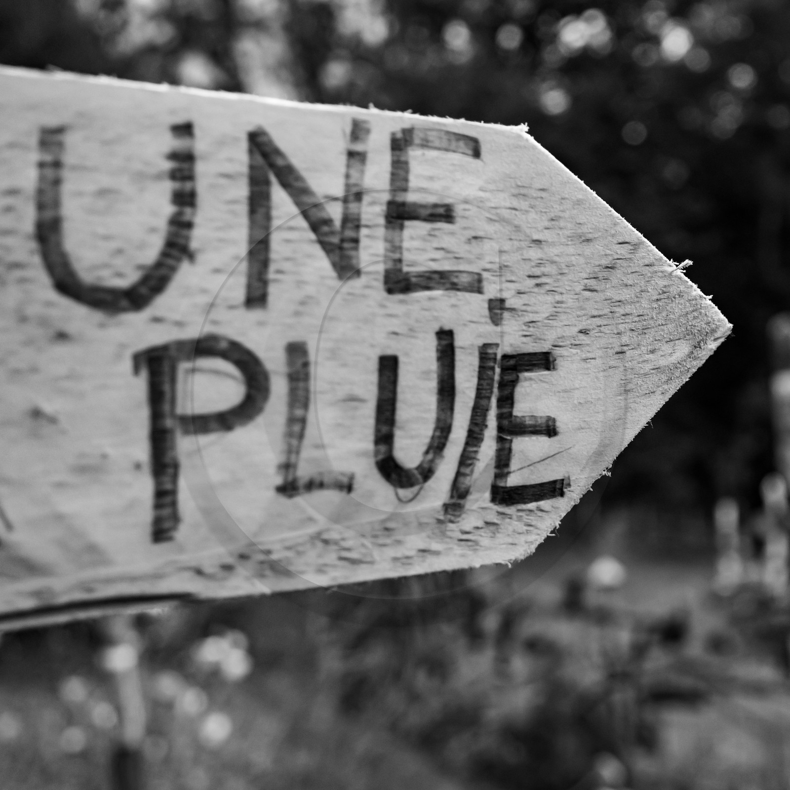 15 septembre 2021 : l'APF à l'Ouort